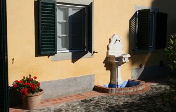 img_6382.jpg