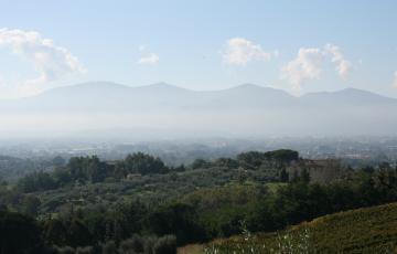 img_6419.jpg