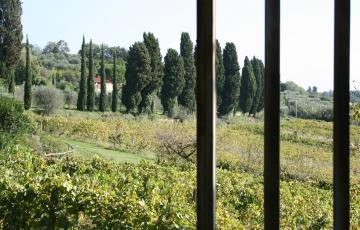 img_6421.jpg