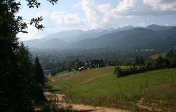 img_6247.jpg