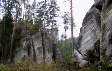 100_3407.jpg
